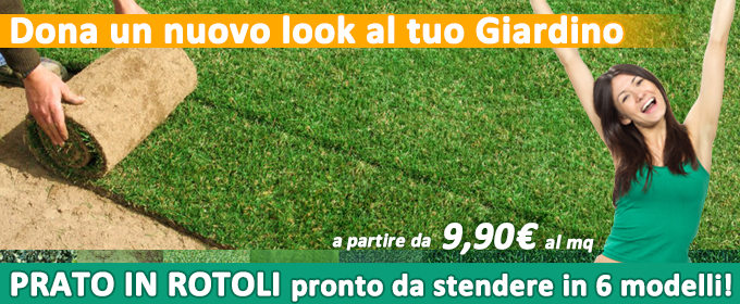 Vendita prato a rotoli - Rasenfix