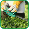 Attrezzi e Utensili per il Giardinaggio