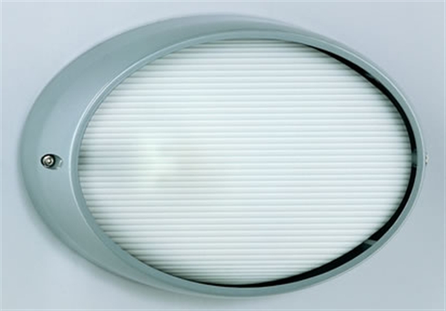 Plafoniera da Esterno in Fusione di Alluminio, Colore Alluminio, Vetro Satinato, Forma Ovale