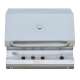Barbecue ad Incasso o Appoggio GPL-Metano con Sistema Dual System, Mod. Special Incasso R3