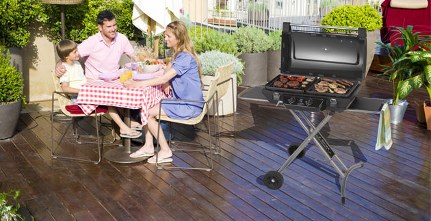 Barbecue 2 Series Compact LX