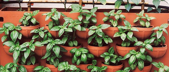 Fioriera verticale da giardino in polietilene ORTO di GIULIO