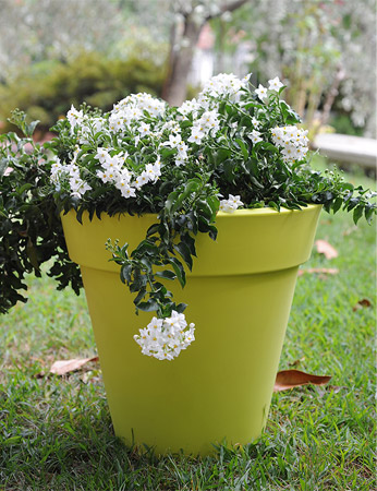 Vaso da esterno in polietilene ANGELICA