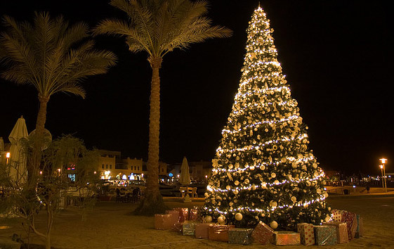 Albero di Natale artificiale 8 metri