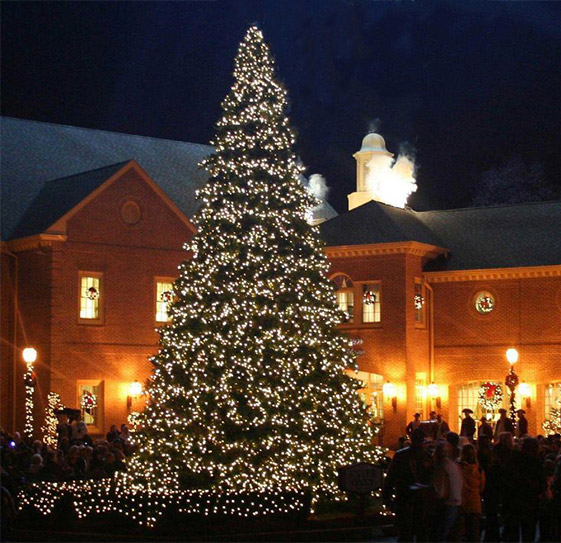 Albero di Natale artificiale 10 metri