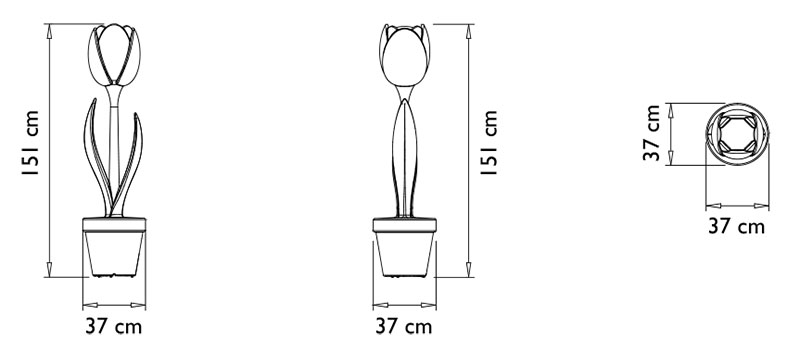 Decorazione TULIP XL by Myyour